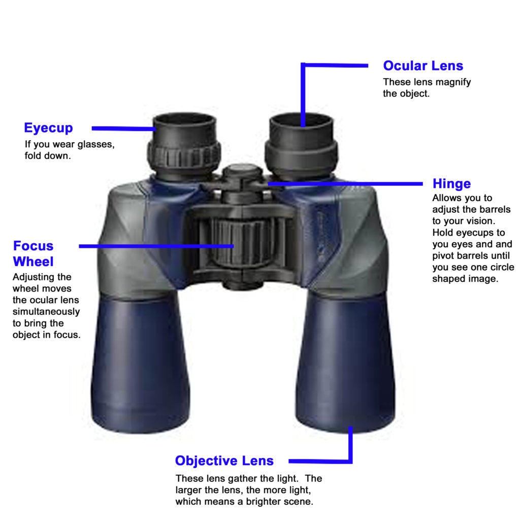 birding binocular layout